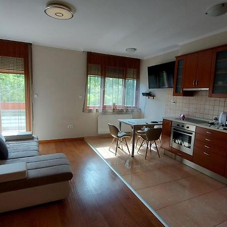 Sunny Loft Kecskemet Apartment Екстериор снимка